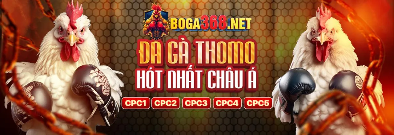 Đa dạng trò chơi tại t88 Casino